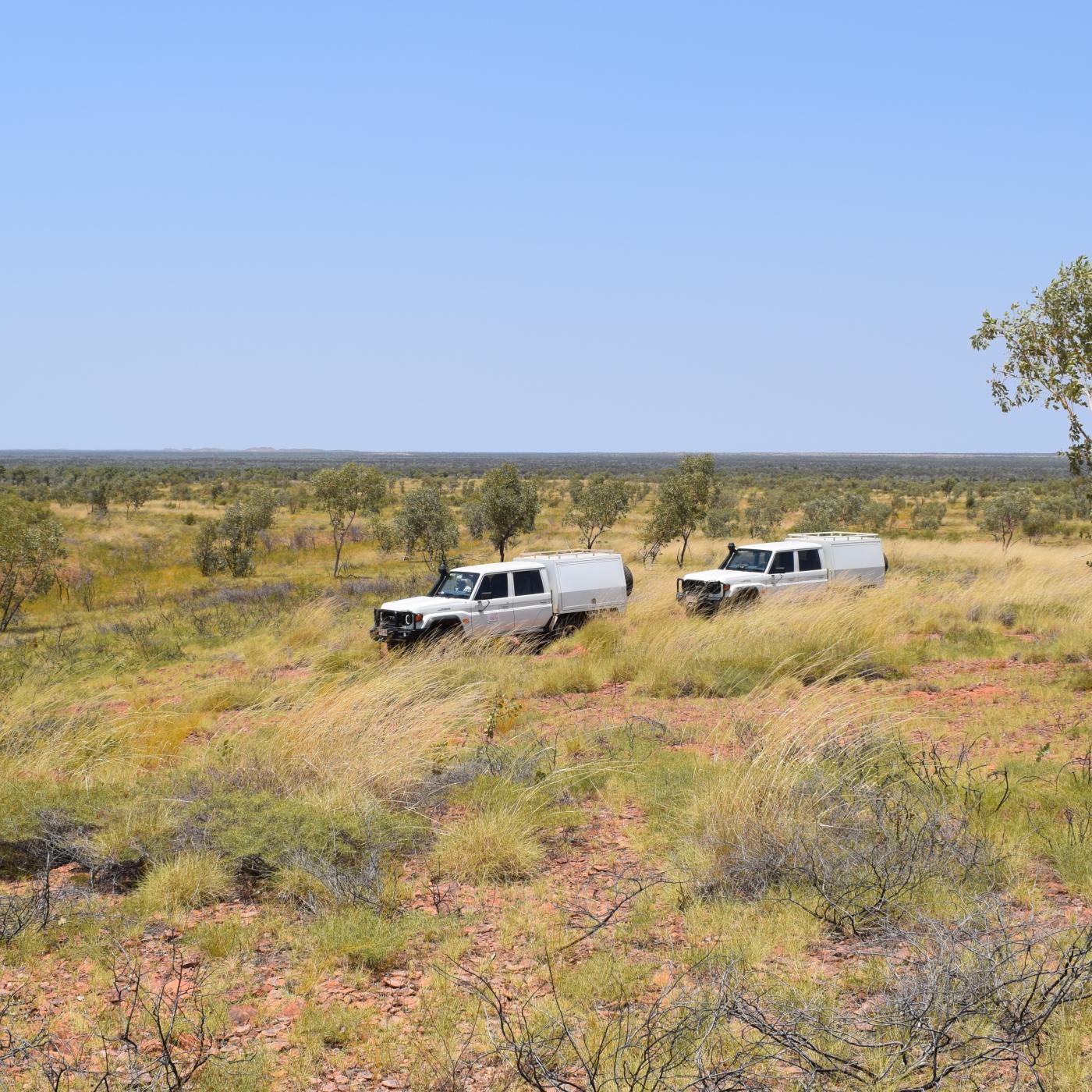 Two AAPA vehicles in grassland