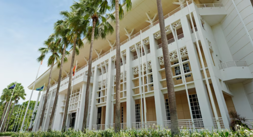 Palm trees in front of the NT Parliament House (Michael Franchi ©ABC News)